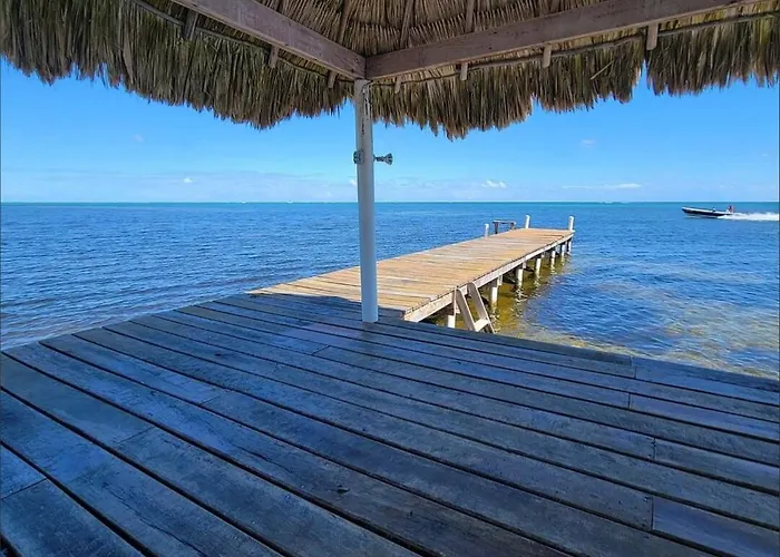 Indigo Belize 1c *